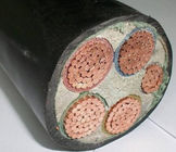 1KV Power XLPE Power Cable With Class 2 Compacted Round Conductor